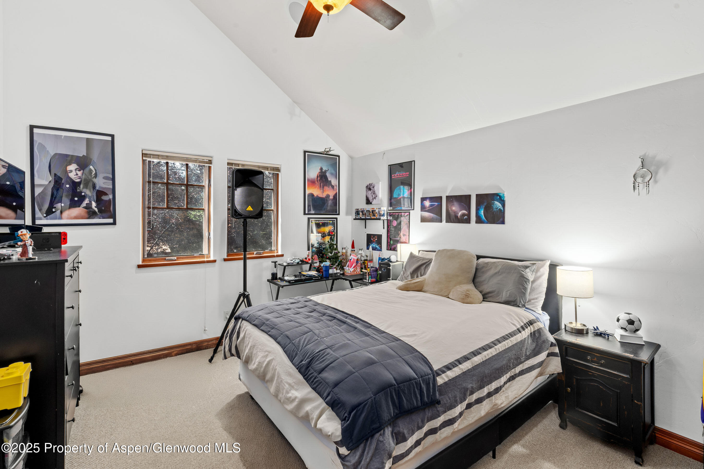 212 Juniper Court Basalt CO 81621