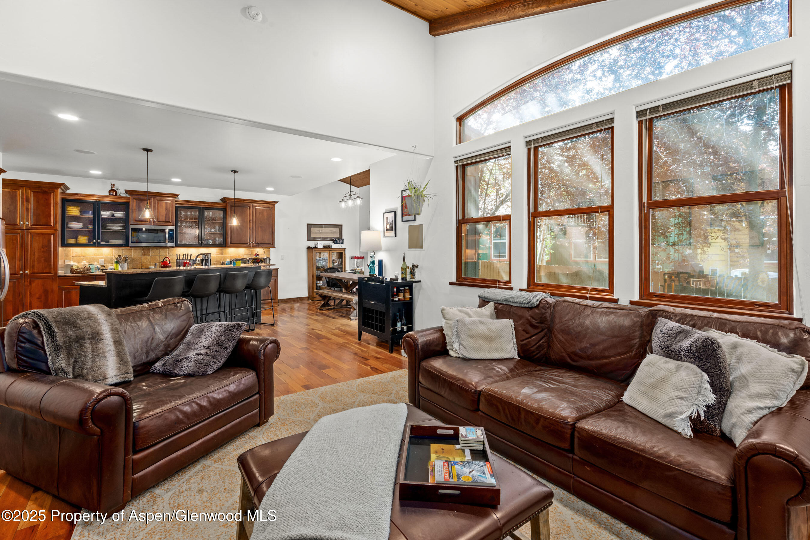 212 Juniper Court Basalt CO 81621