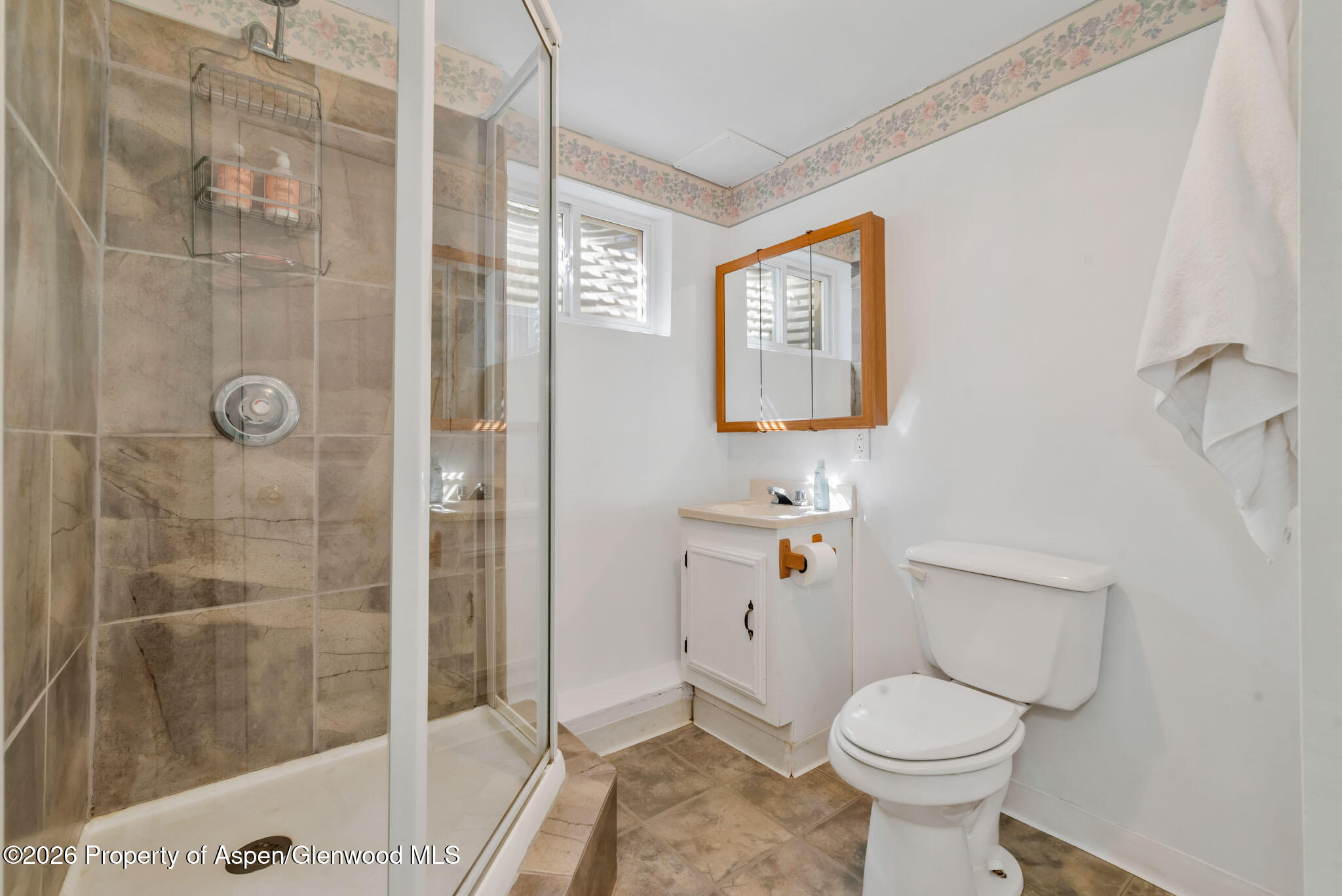 301 E View Drive Hayden CO 81639