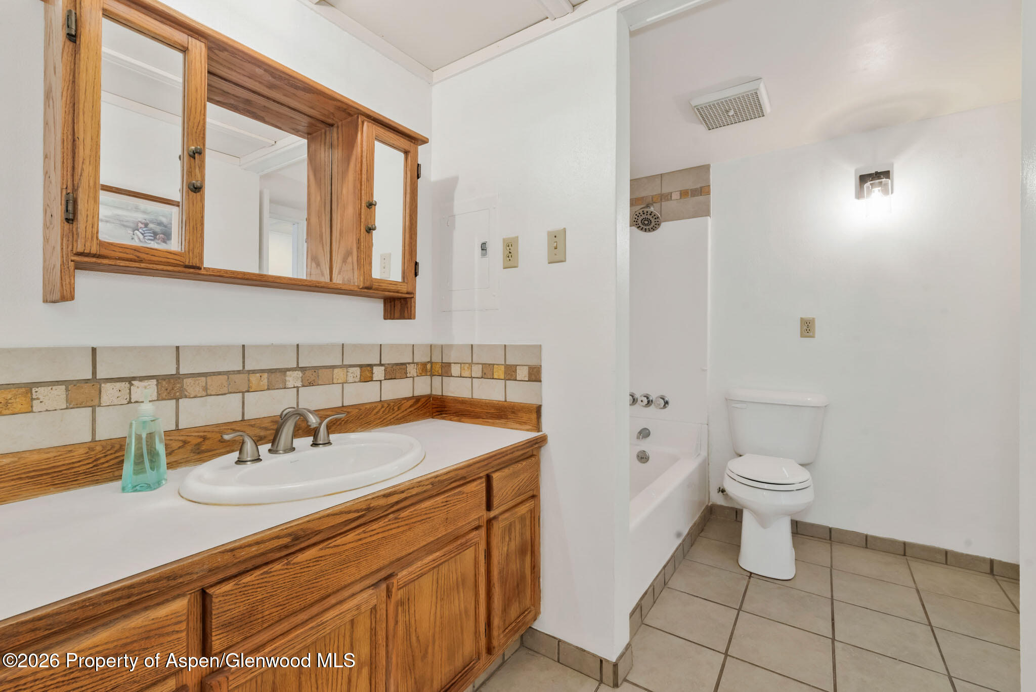 301 E View Drive Hayden CO 81639