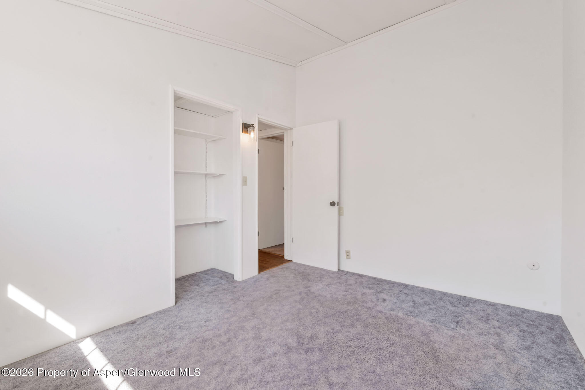 301 E View Drive Hayden CO 81639
