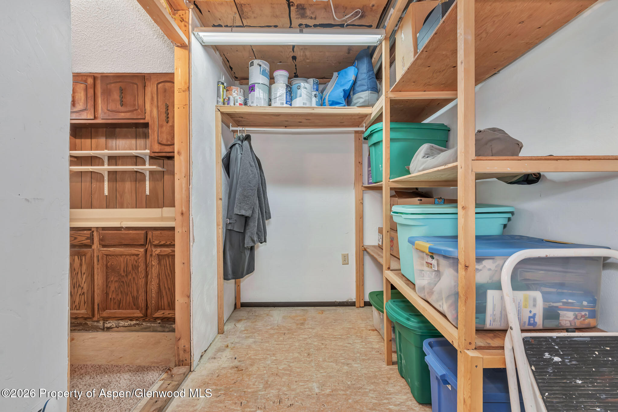 301 E View Drive Hayden CO 81639