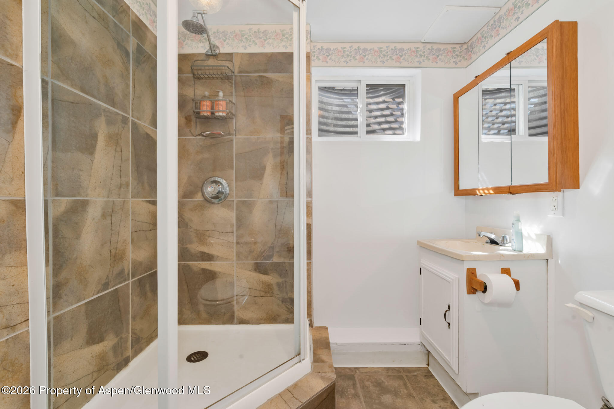 301 E View Drive Hayden CO 81639