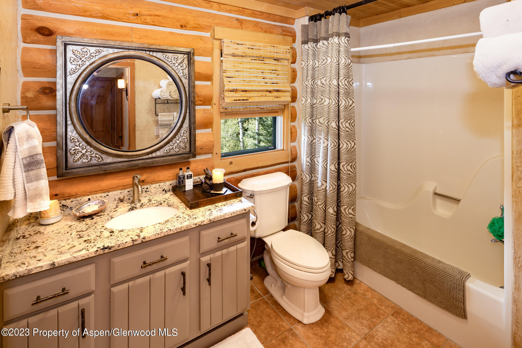 194 Wapiti Way Basalt CO 81621