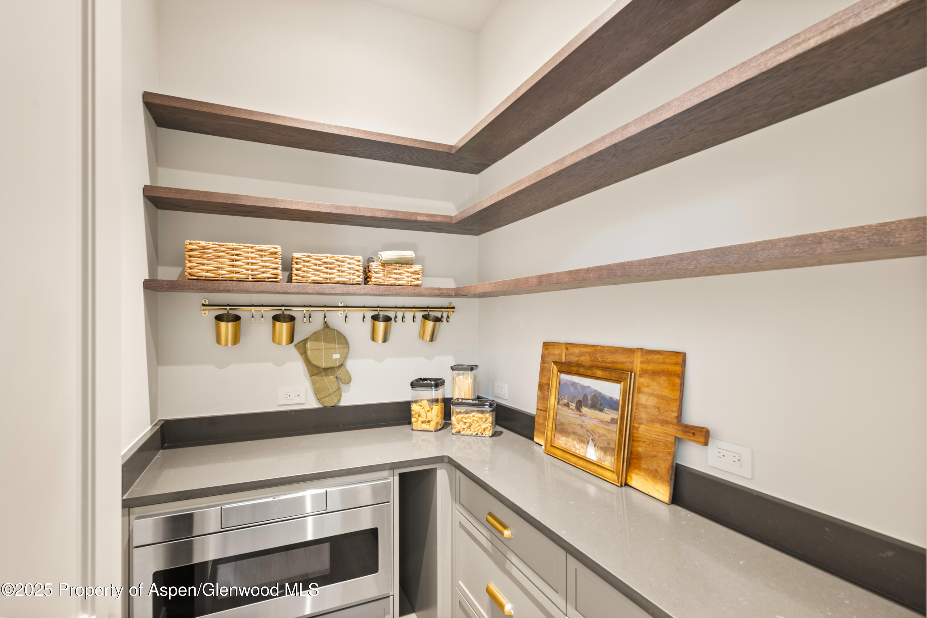 1042 Bald Eagle Way Carbondale CO 81623