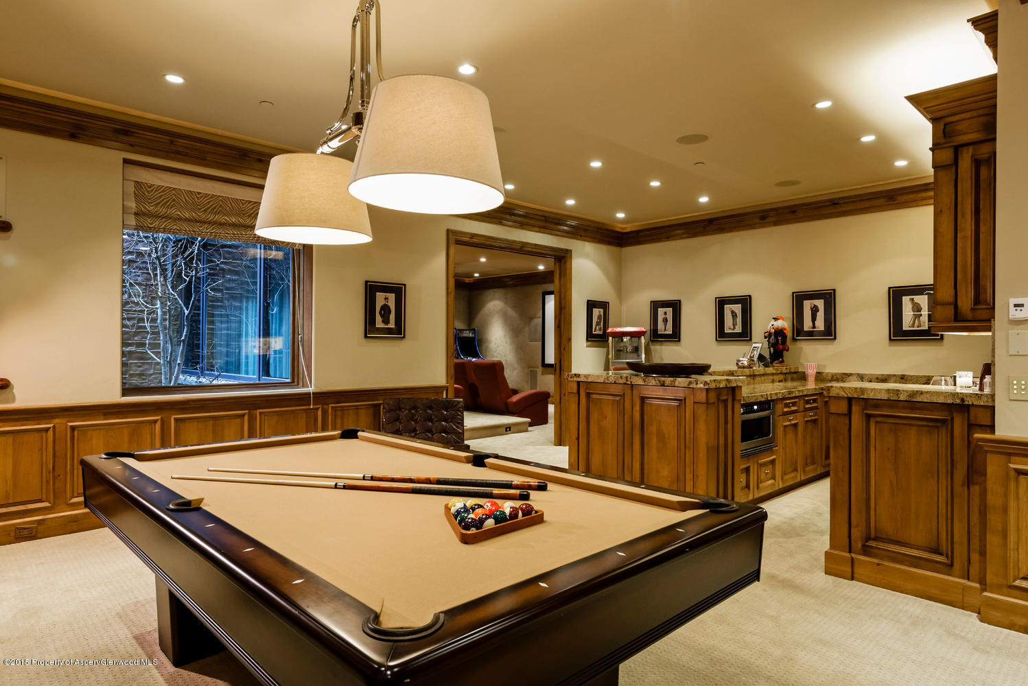 386 Pfister Drive Aspen CO 81611