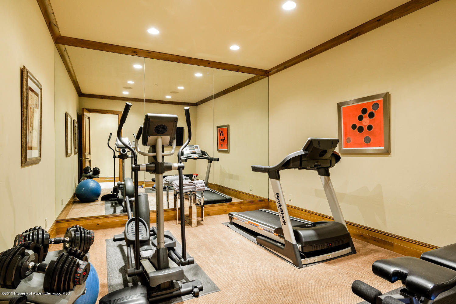 386 Pfister Drive Aspen CO 81611