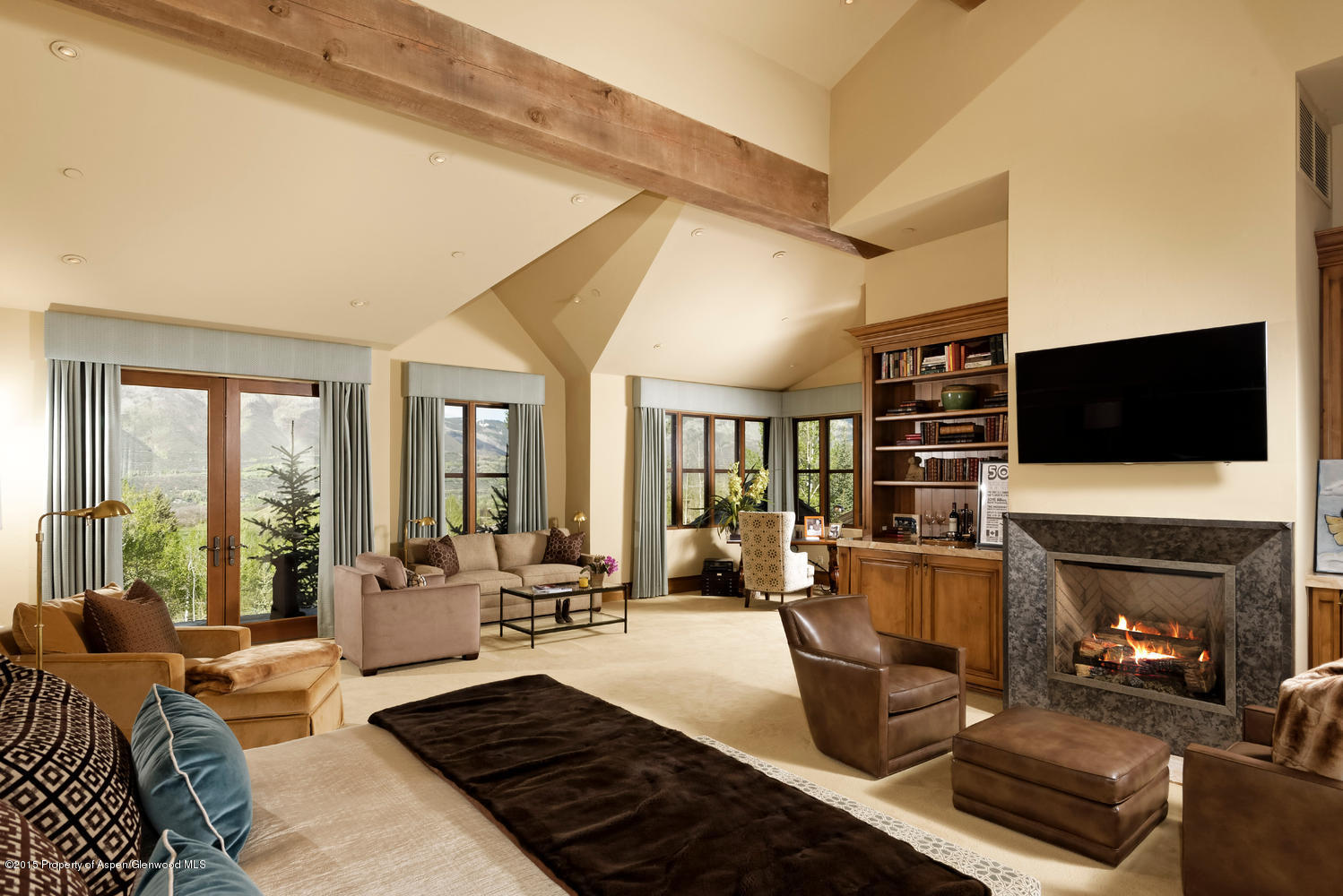 386 Pfister Drive Aspen CO 81611