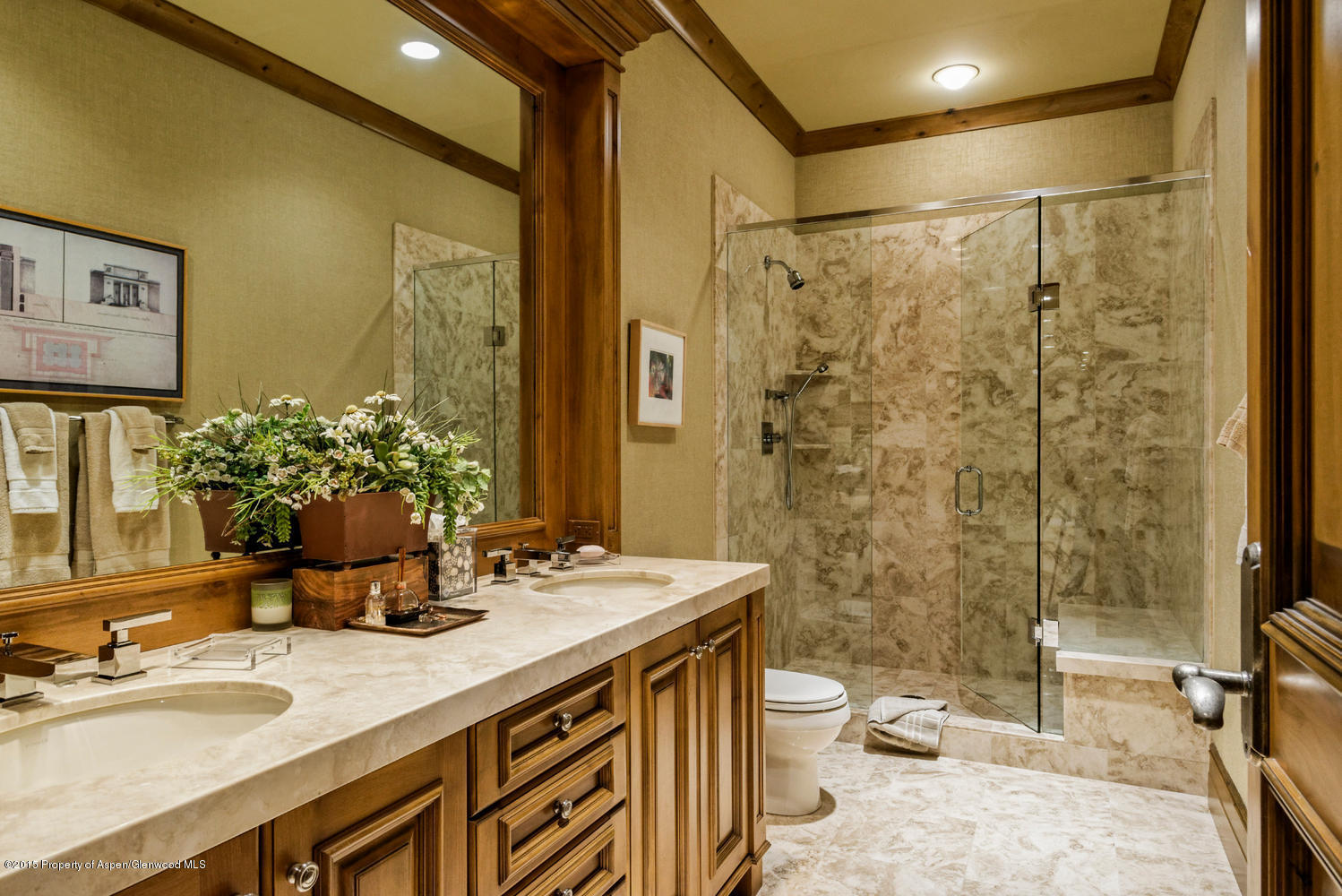 386 Pfister Drive Aspen CO 81611