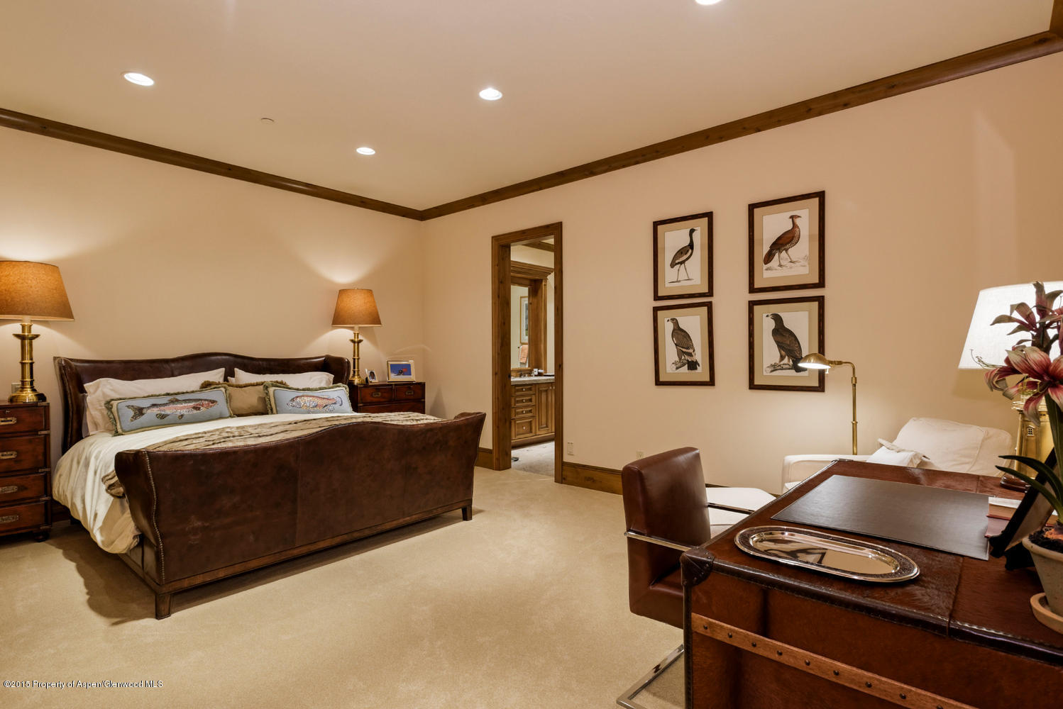 386 Pfister Drive Aspen CO 81611