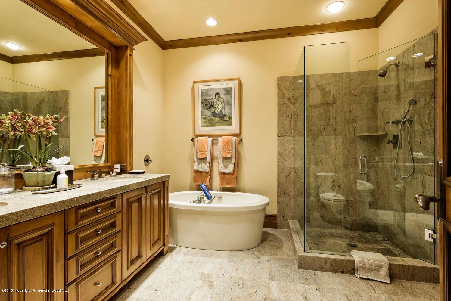 386 Pfister Drive Aspen CO 81611