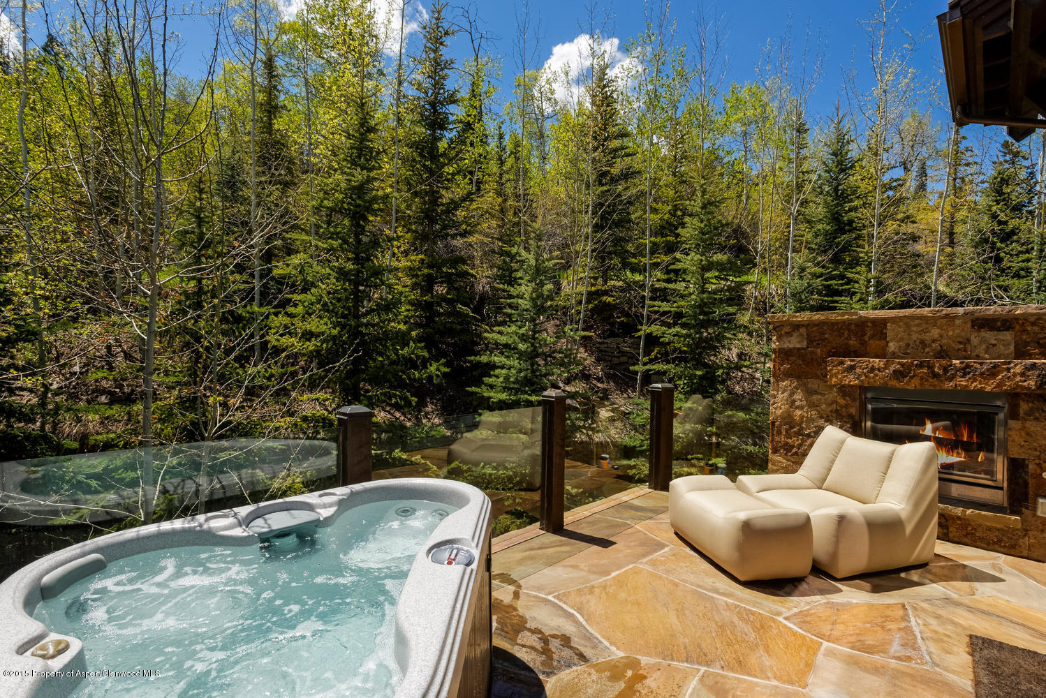 386 Pfister Drive Aspen CO 81611