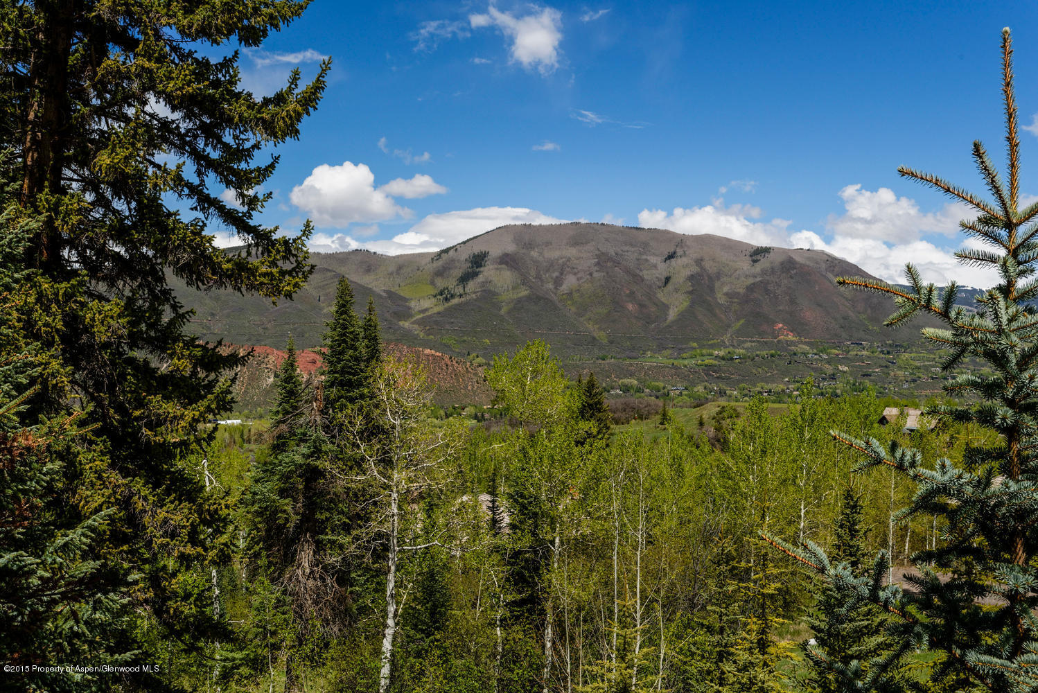 386 Pfister Drive Aspen CO 81611