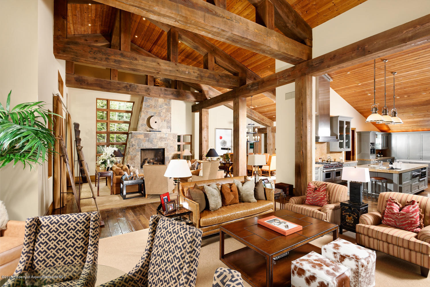 386 Pfister Drive Aspen CO 81611