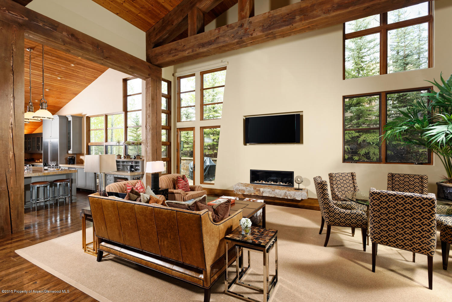 386 Pfister Drive Aspen CO 81611