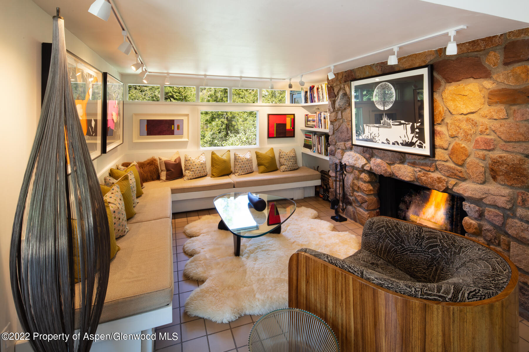 521 Mcskimming Road Aspen CO 81611