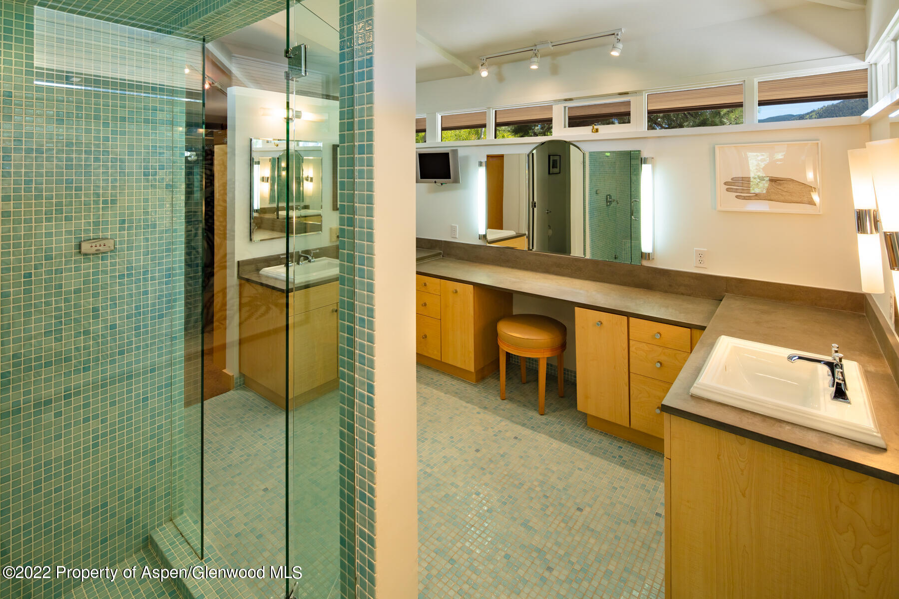 521 Mcskimming Road Aspen CO 81611