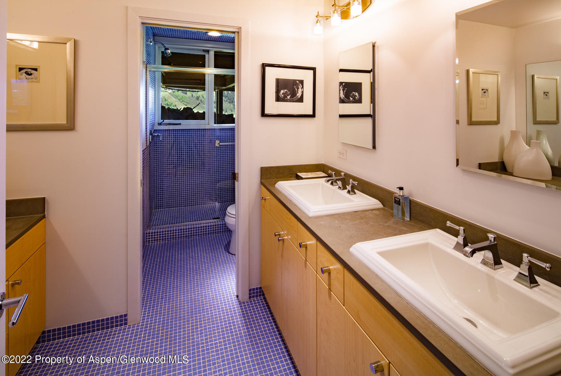 521 Mcskimming Road Aspen CO 81611