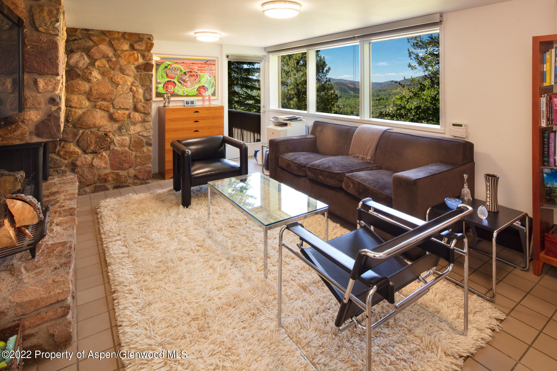 521 Mcskimming Road Aspen CO 81611