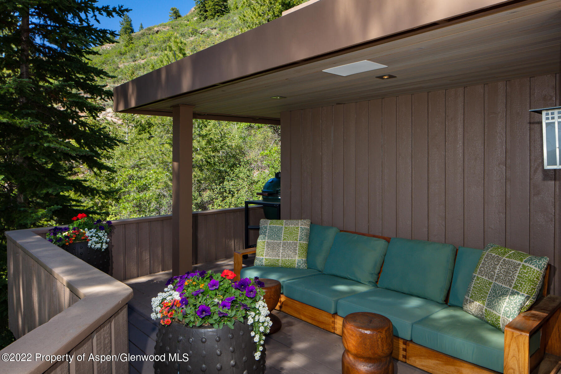 521 Mcskimming Road Aspen CO 81611