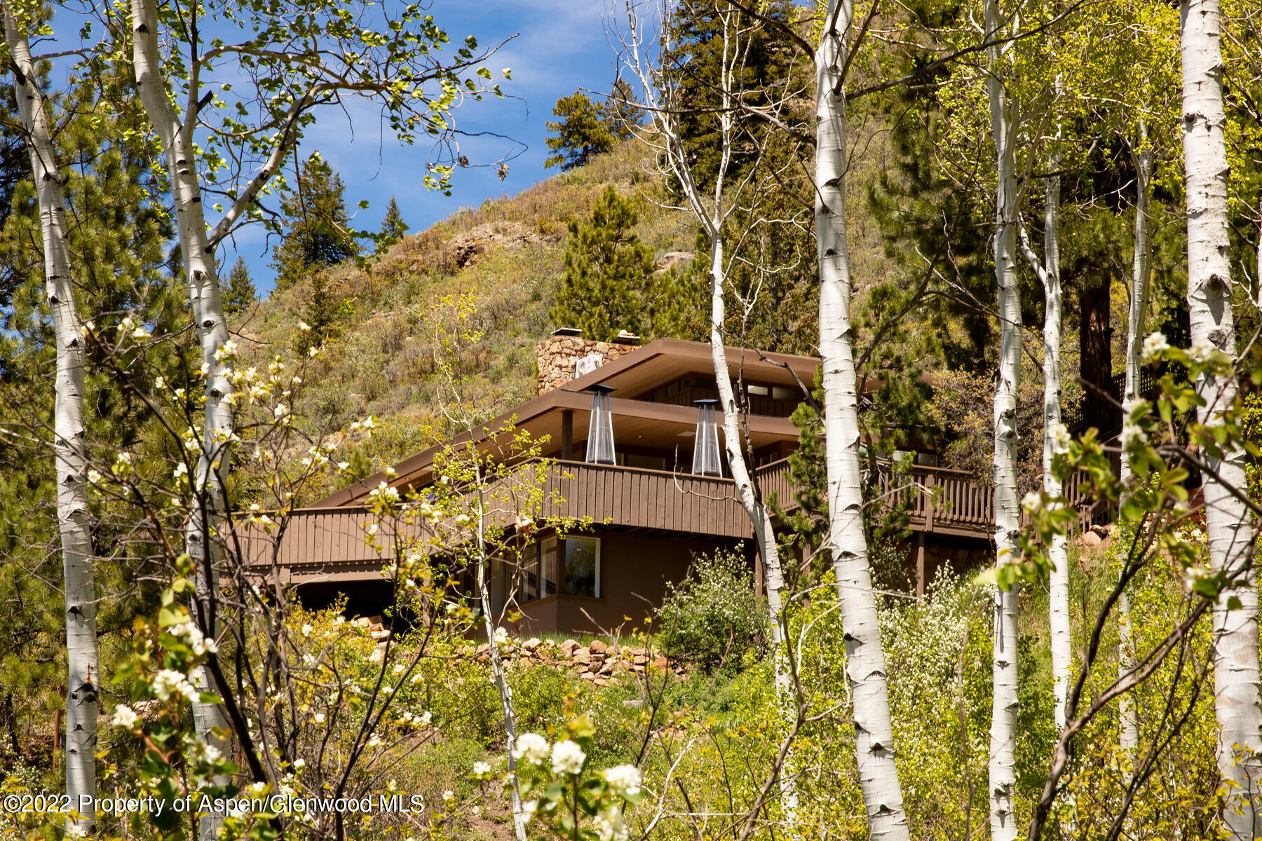 521 Mcskimming Road Aspen CO 81611