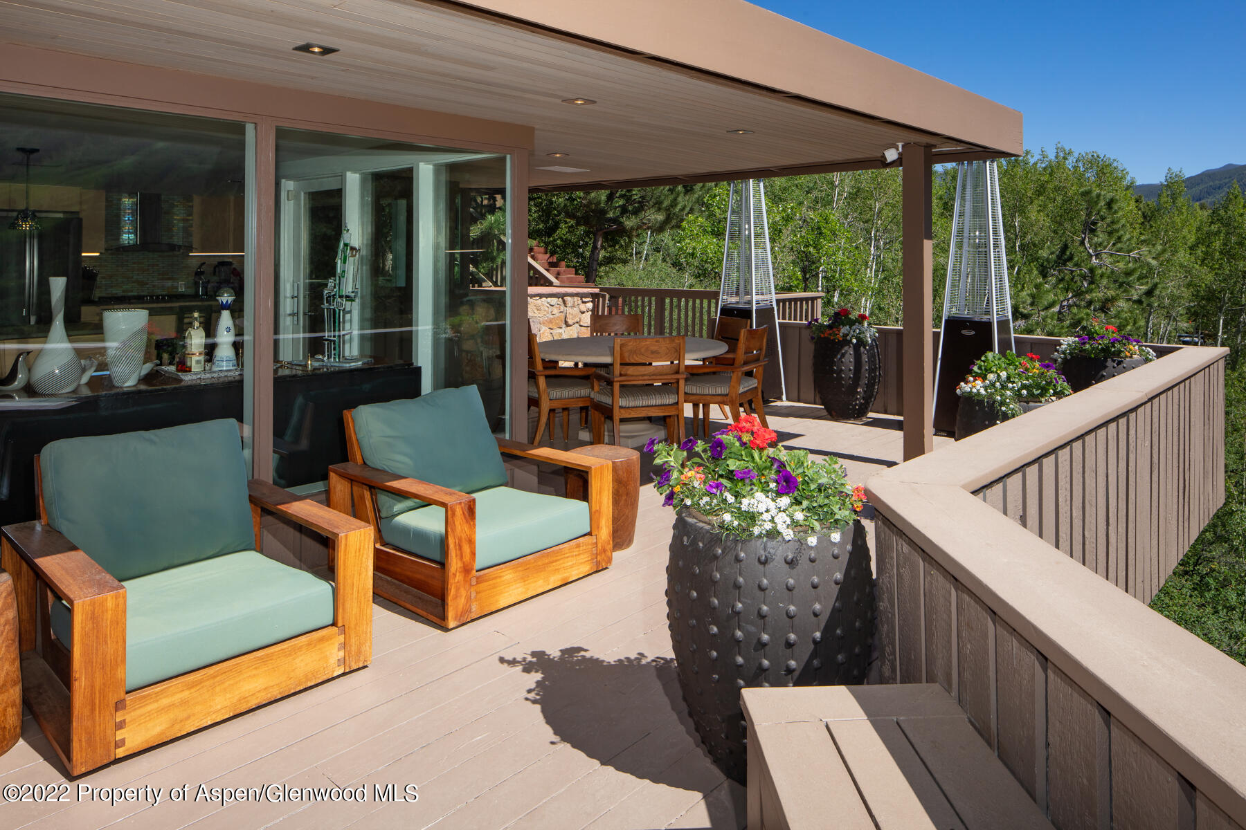 521 Mcskimming Road Aspen CO 81611