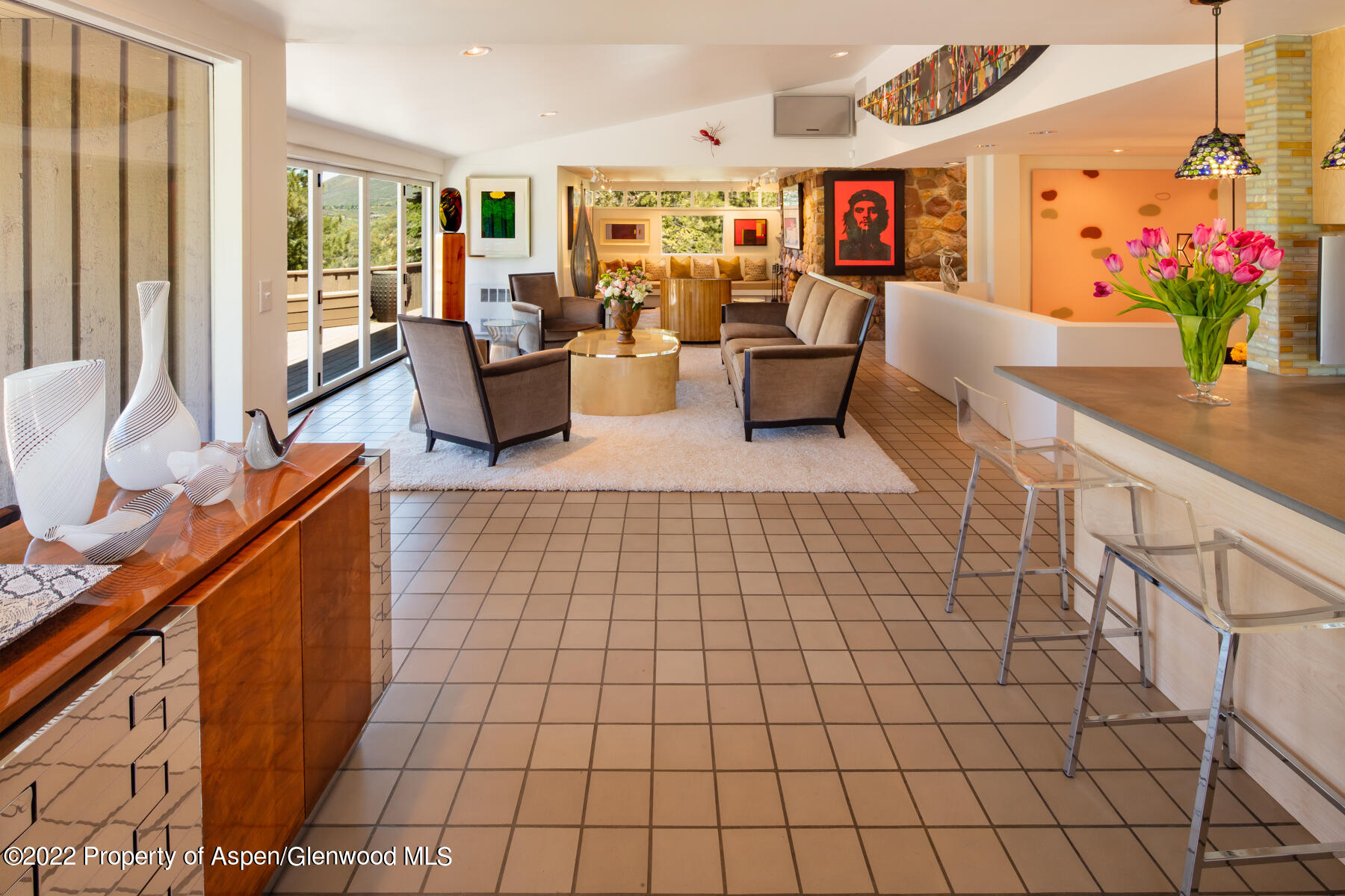 521 Mcskimming Road Aspen CO 81611