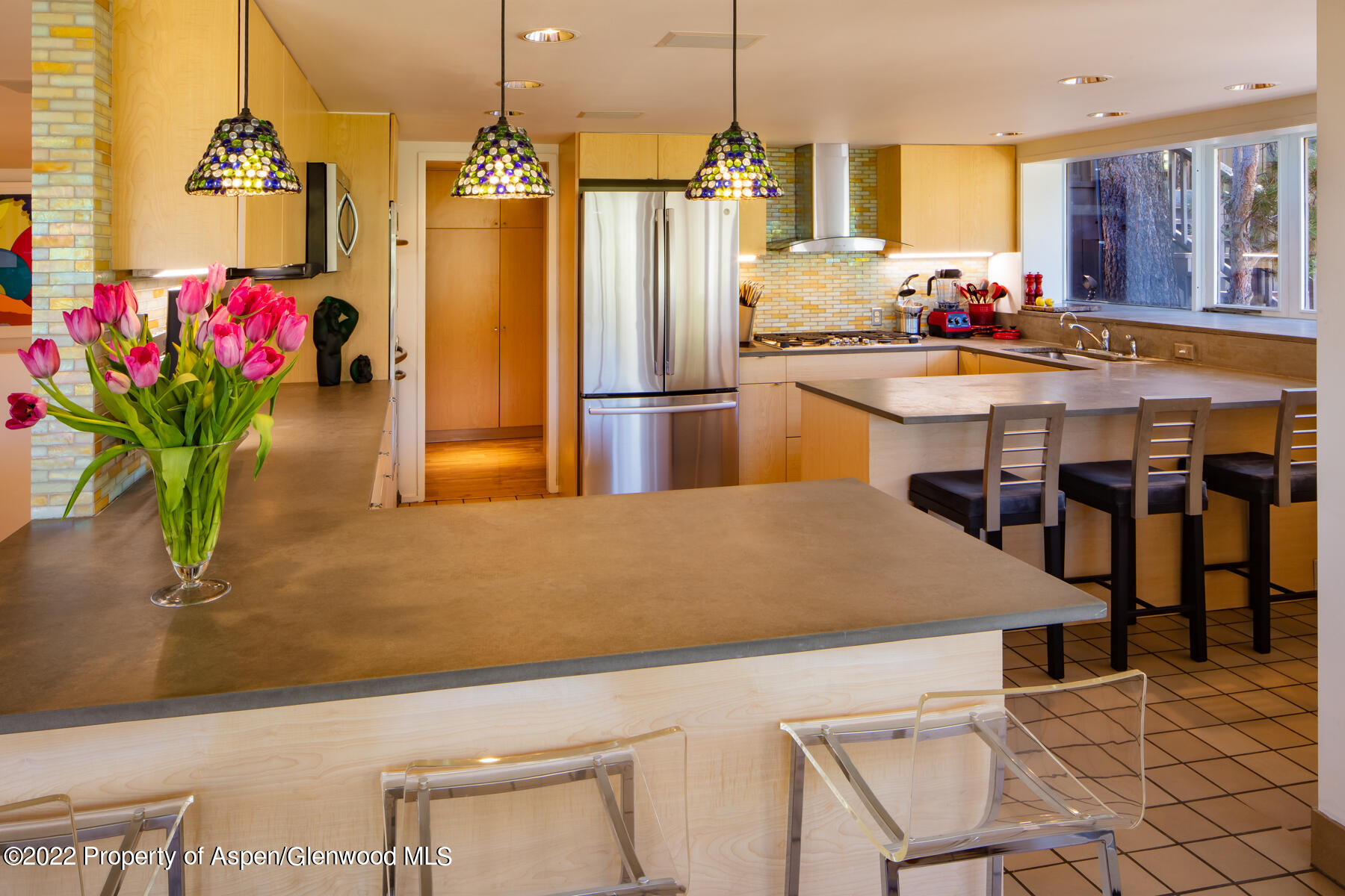 521 Mcskimming Road Aspen CO 81611