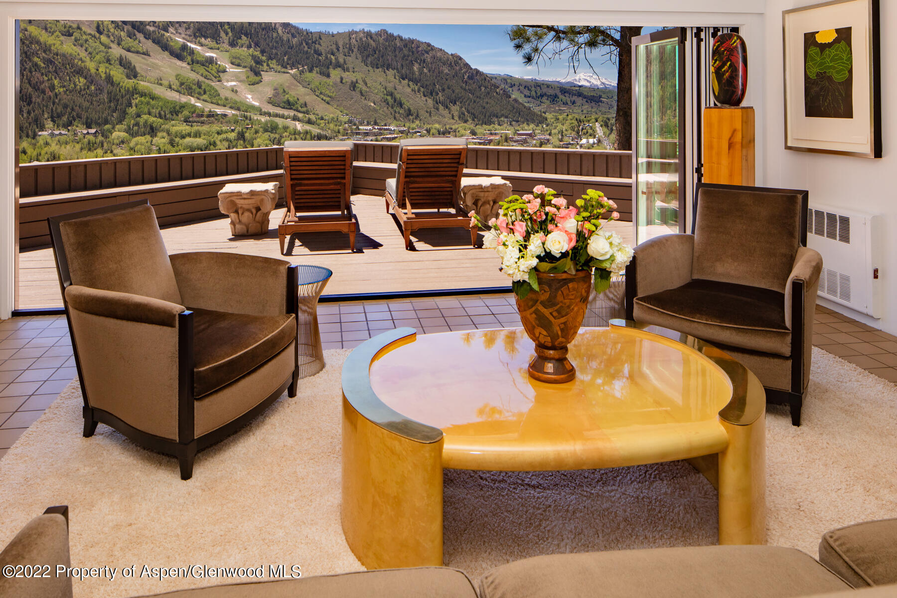 521 Mcskimming Road Aspen CO 81611