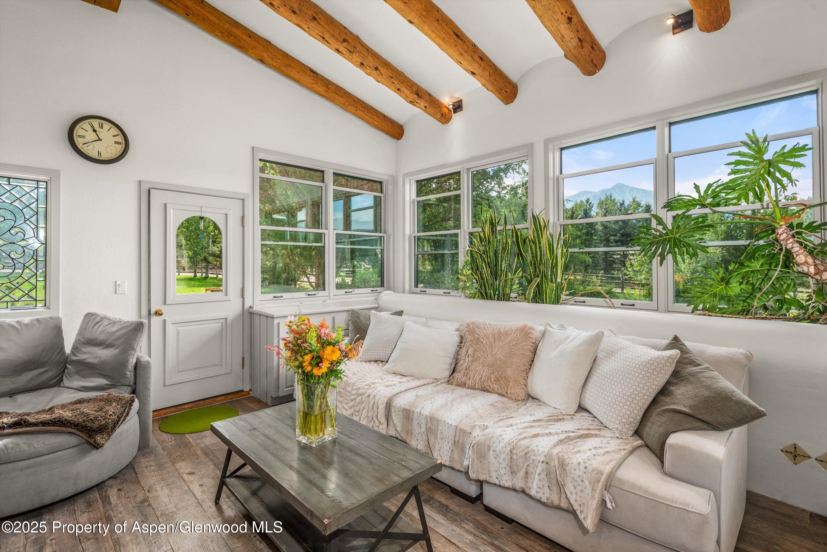 1625 Prince Creek Road Carbondale CO 81623