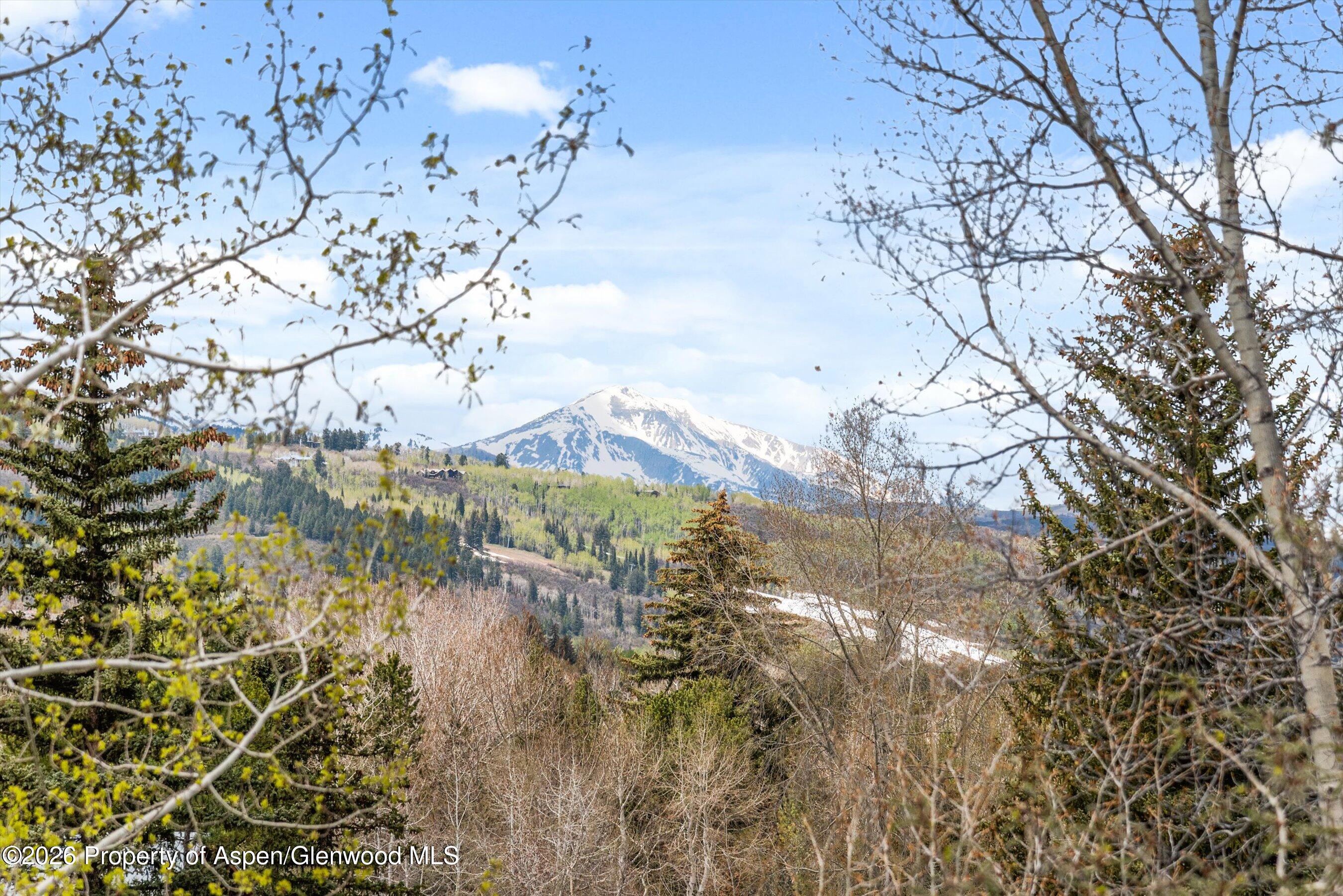 515 Park Circle Aspen CO 81611