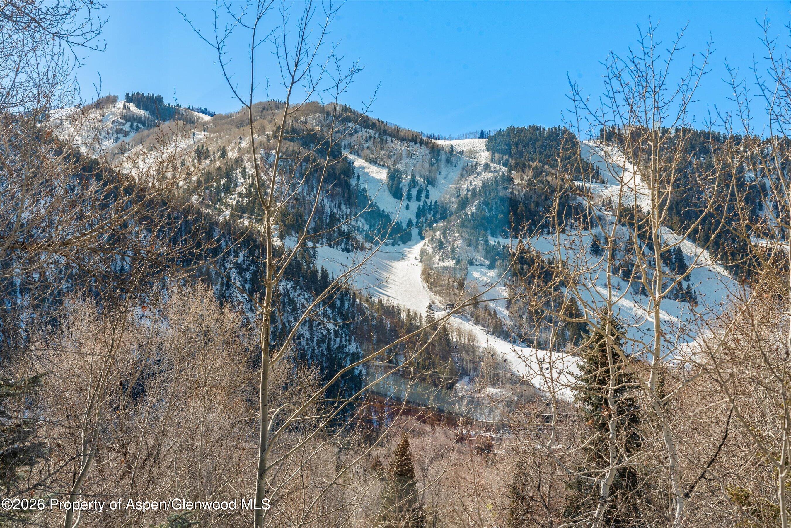 515 Park Circle Aspen CO 81611
