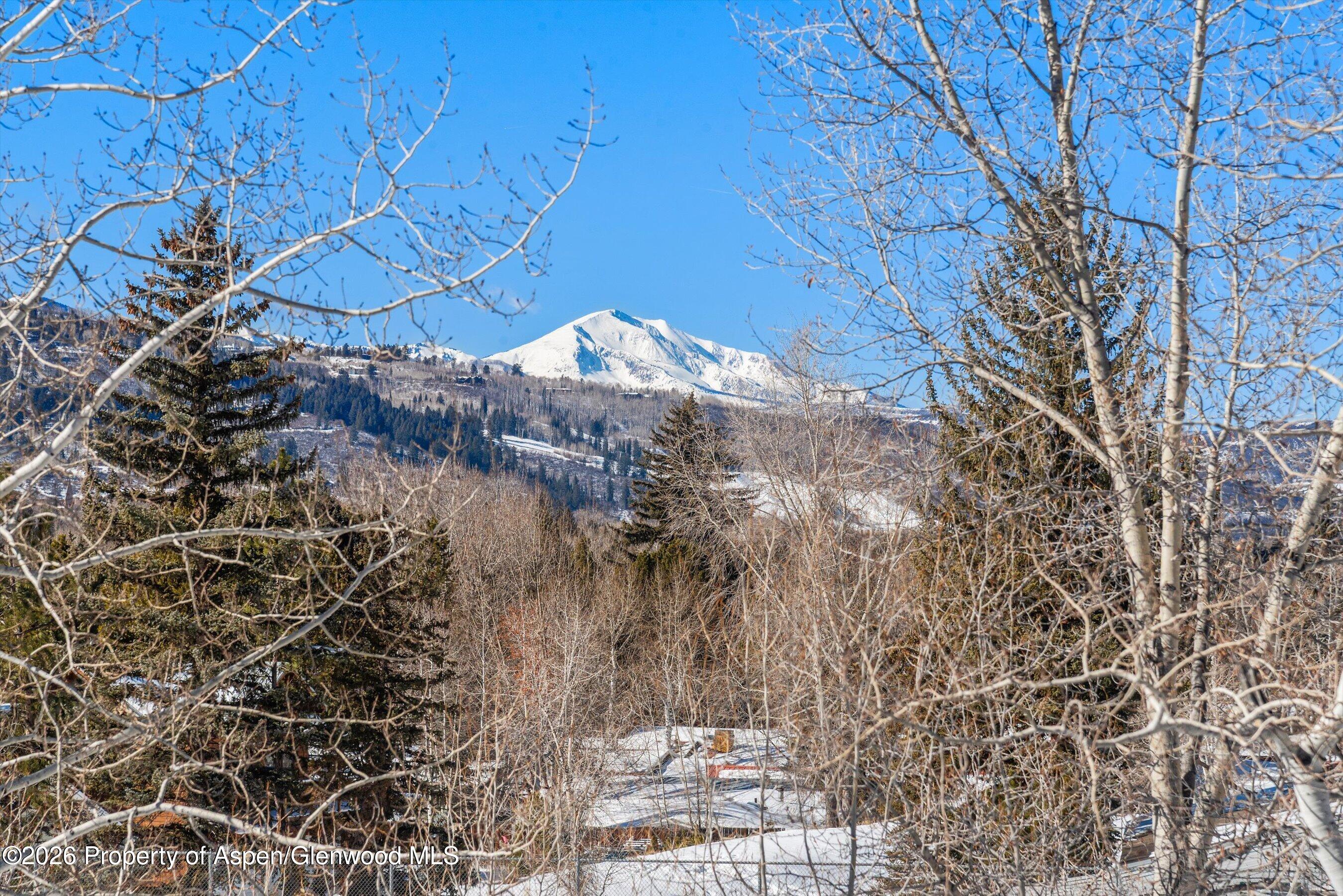 515 Park Circle Aspen CO 81611