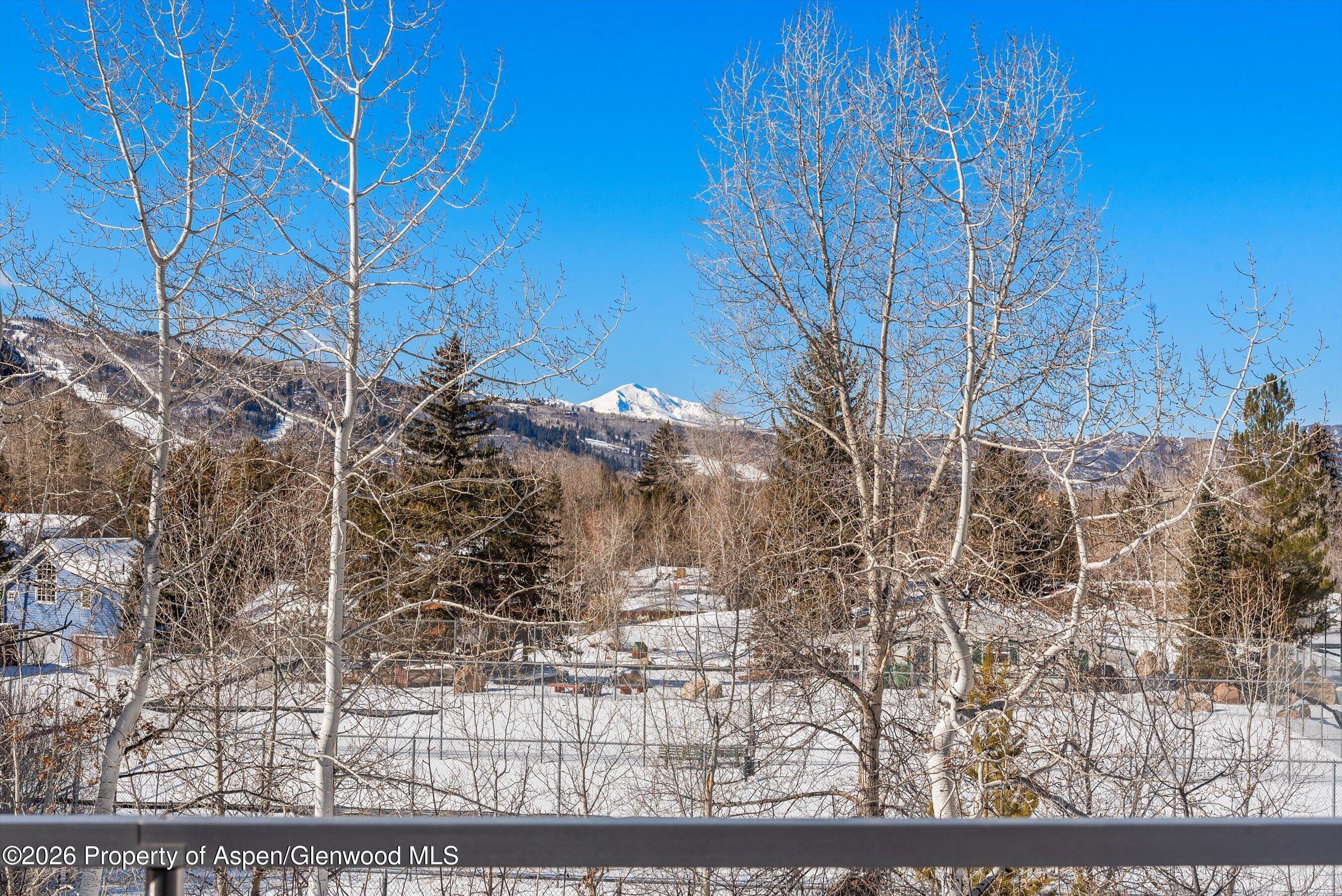 515 Park Circle Aspen CO 81611