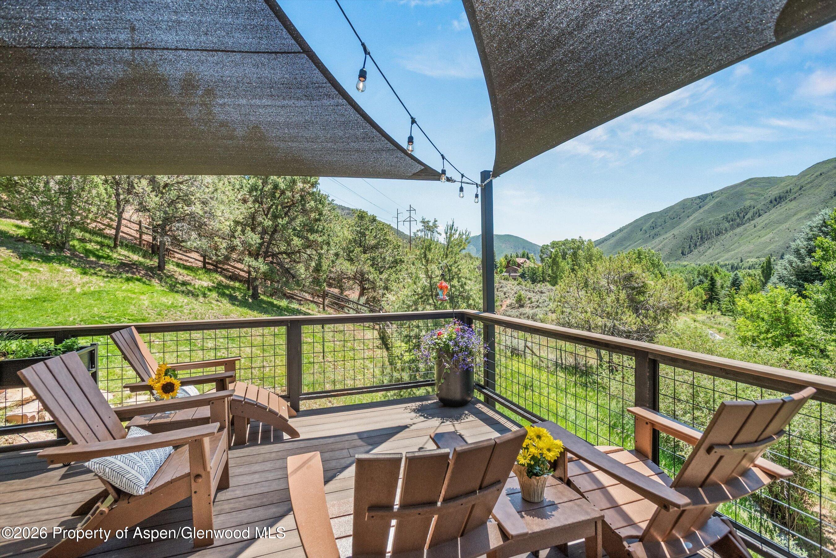 56 Booth Lane Basalt CO 81621