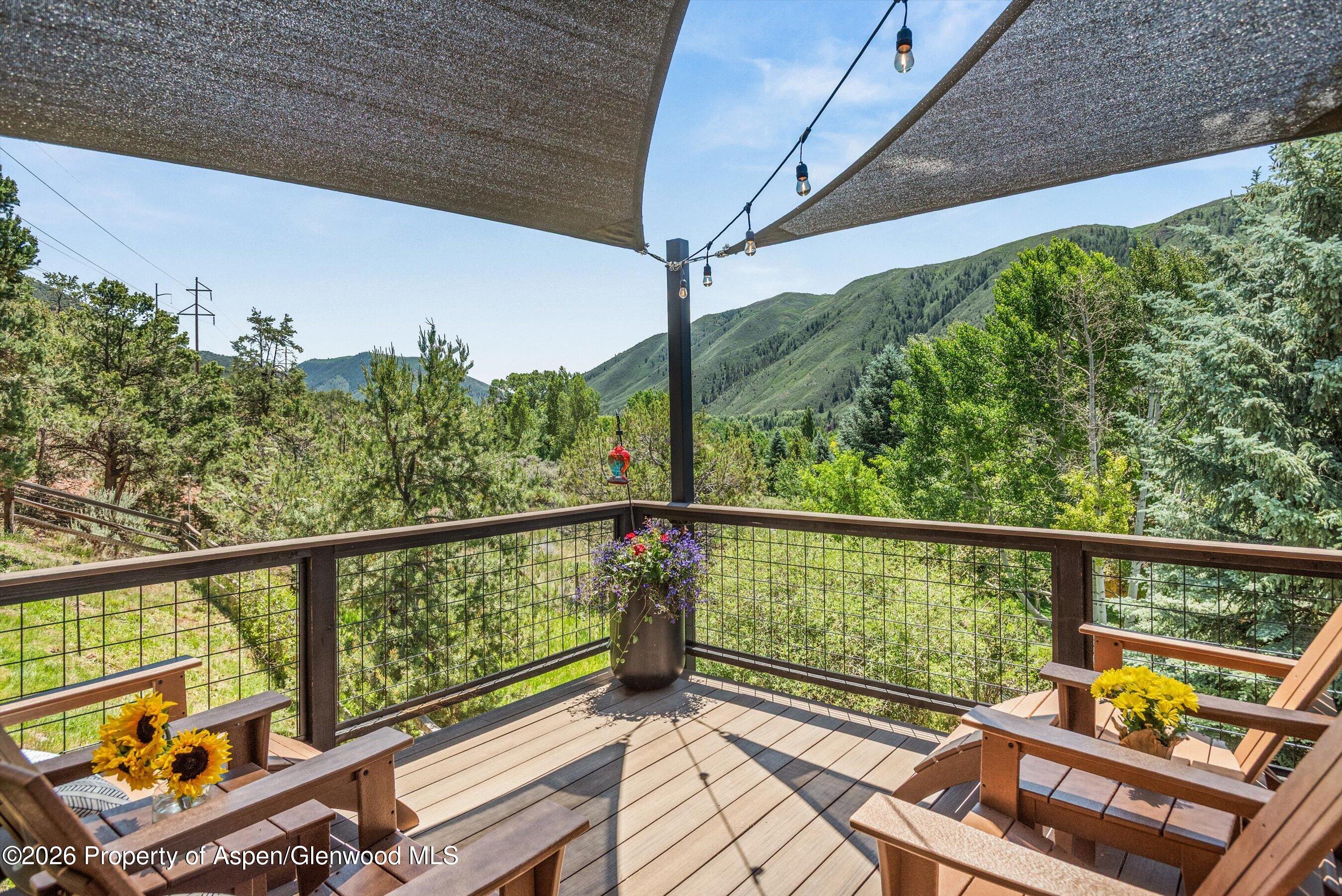 56 Booth Lane Basalt CO 81621