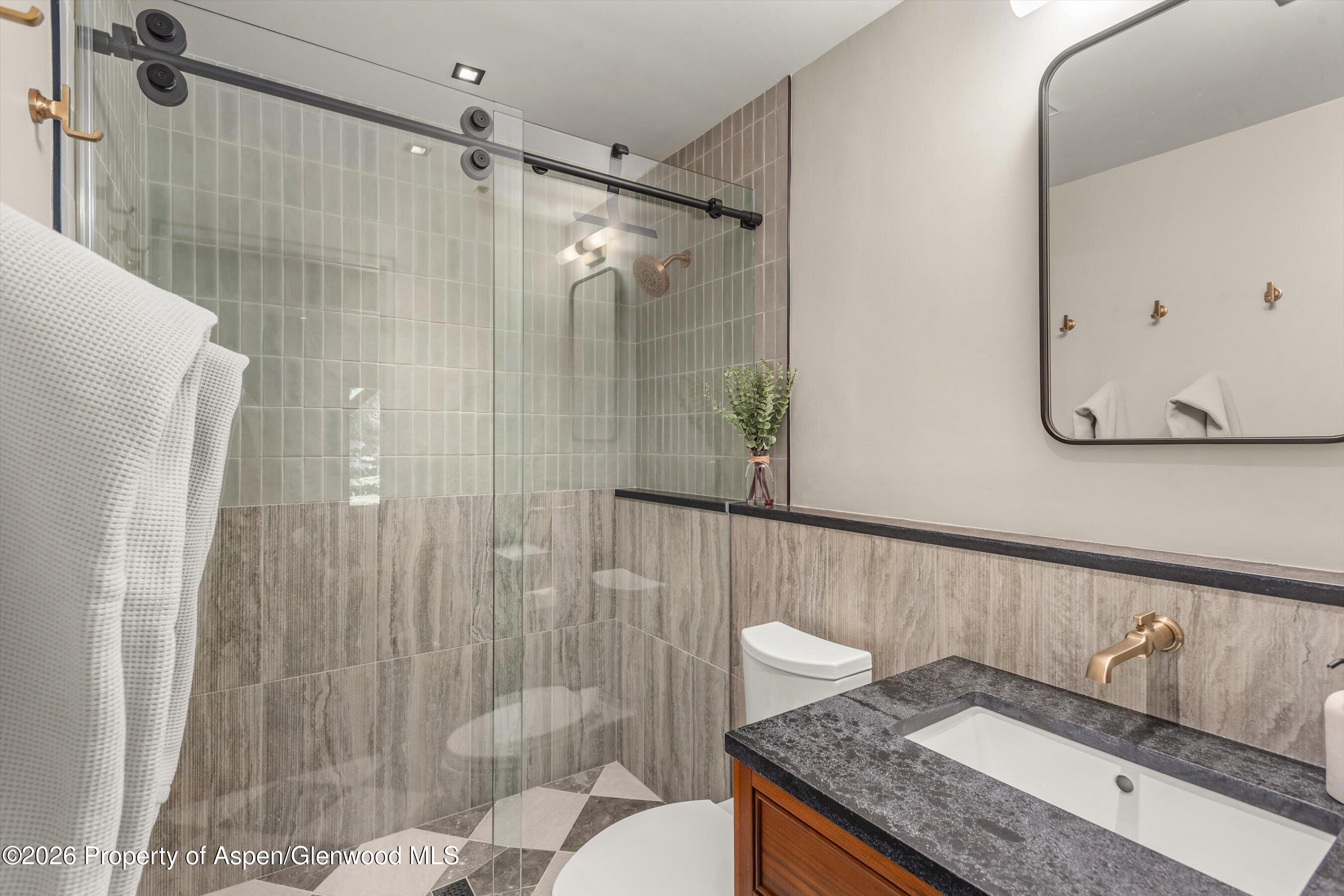 56 Booth Lane Basalt CO 81621