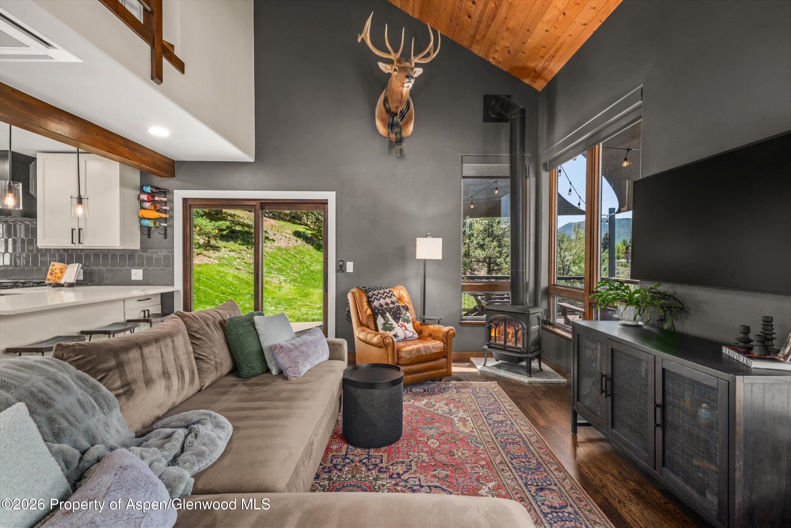 56 Booth Lane Basalt CO 81621