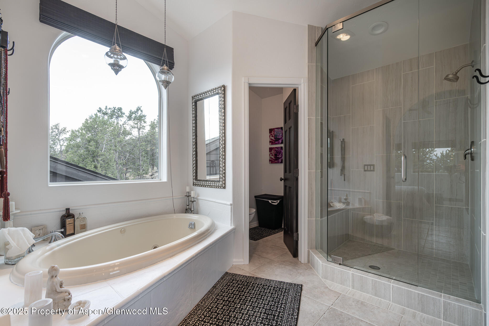 271 Cedar Cove Glenwood Springs CO 81601