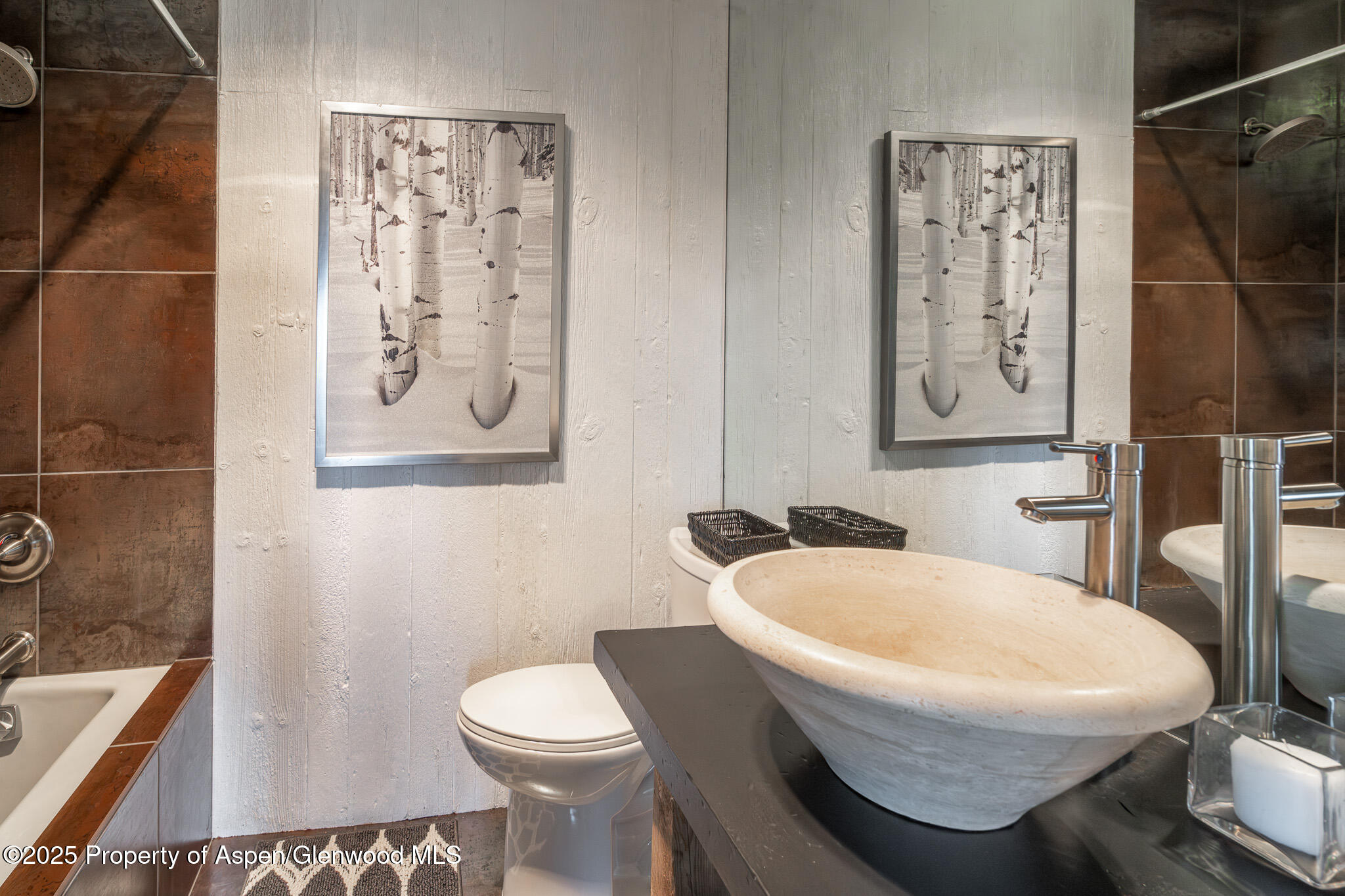 271 Cedar Cove Glenwood Springs CO 81601