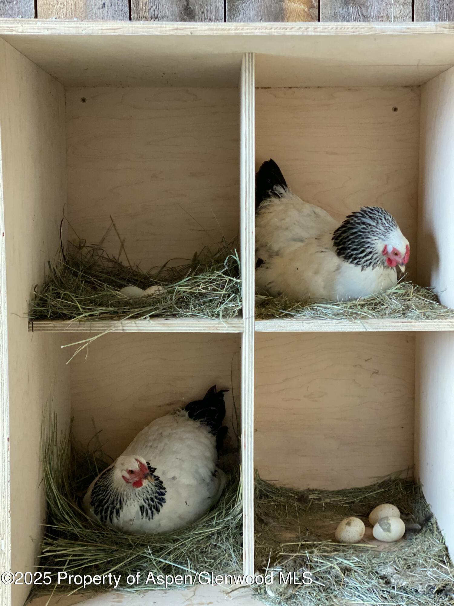 545 Knoll Avenue Craig CO 81625