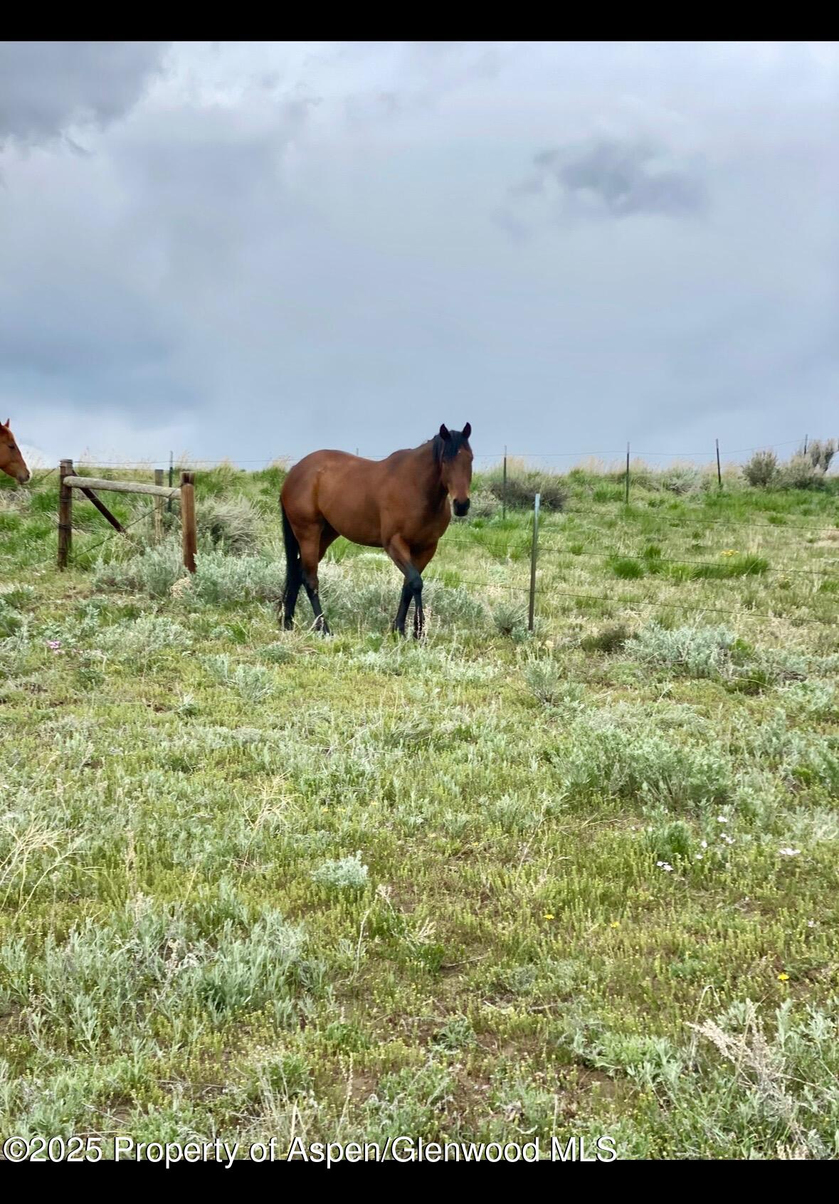 545 Knoll Avenue Craig CO 81625