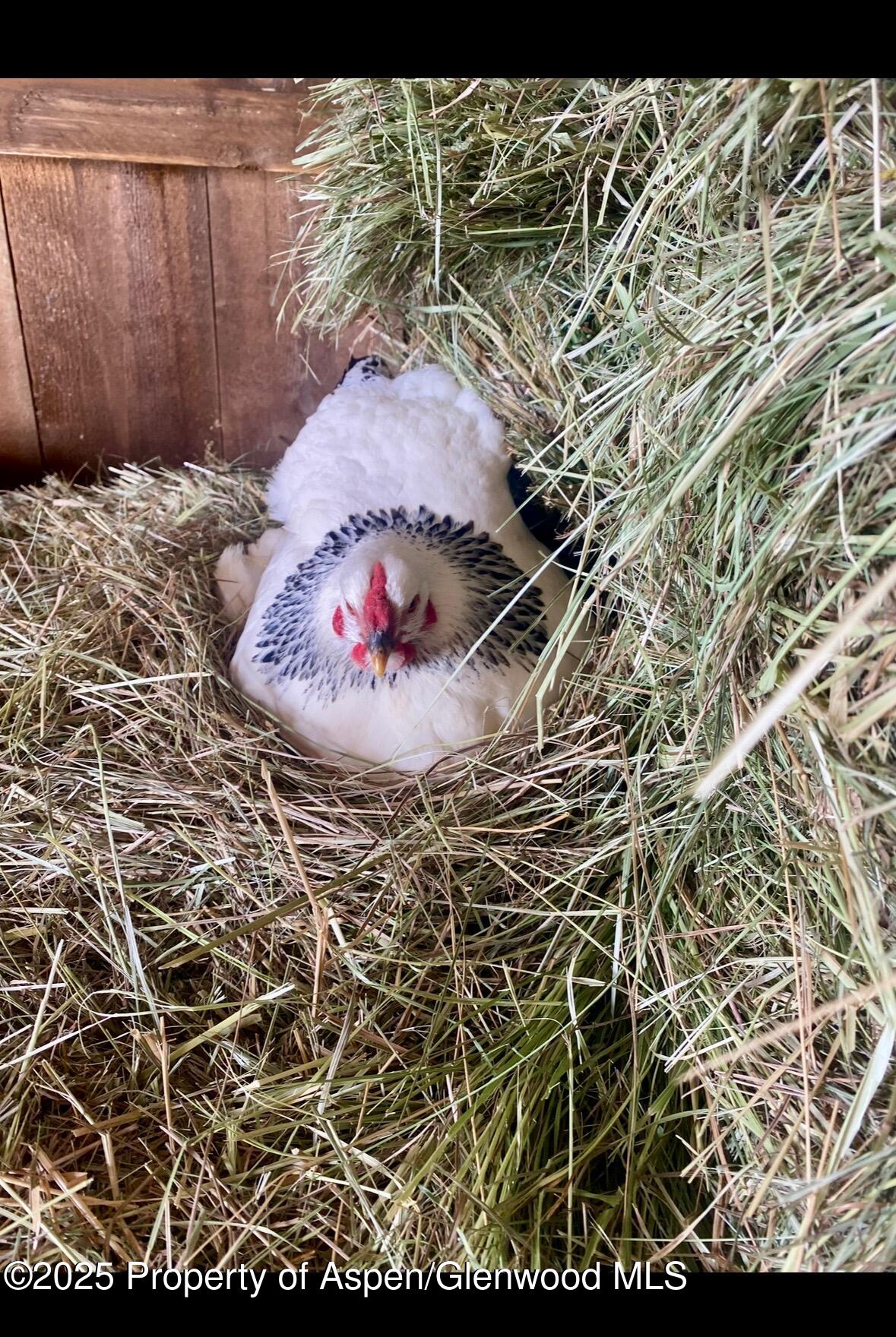 545 Knoll Avenue Craig CO 81625