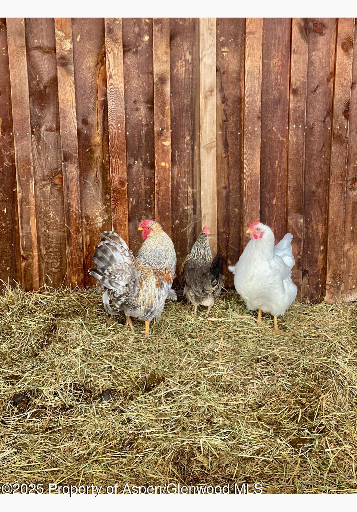 545 Knoll Avenue Craig CO 81625