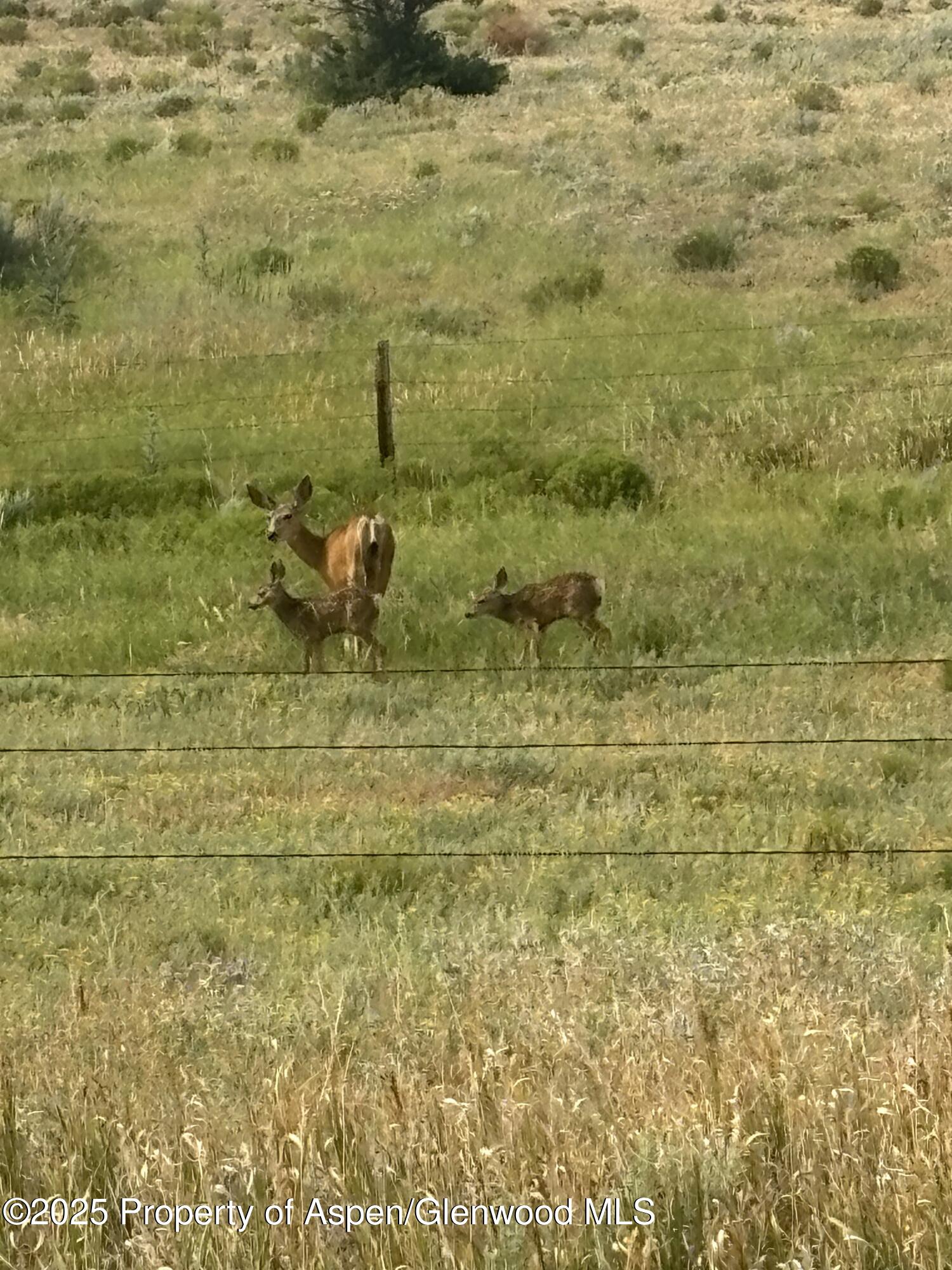 545 Knoll Avenue Craig CO 81625