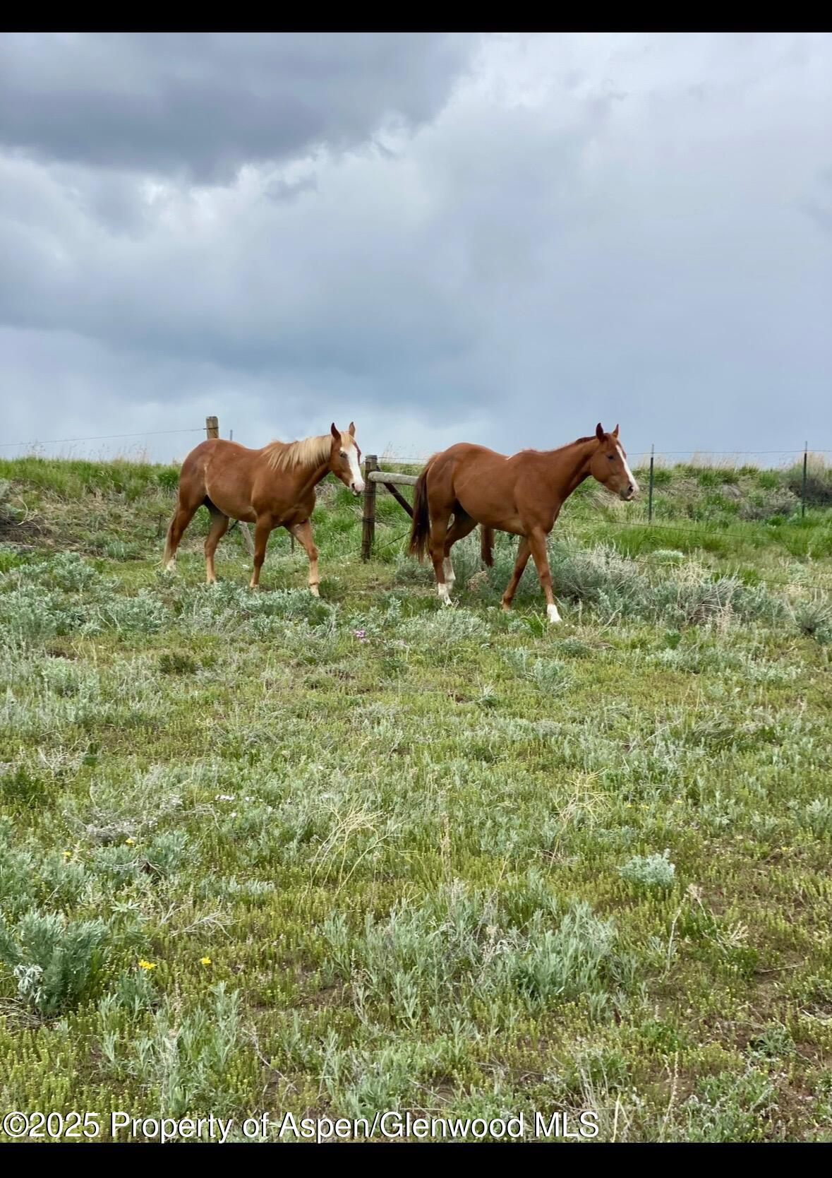 545 Knoll Avenue Craig CO 81625