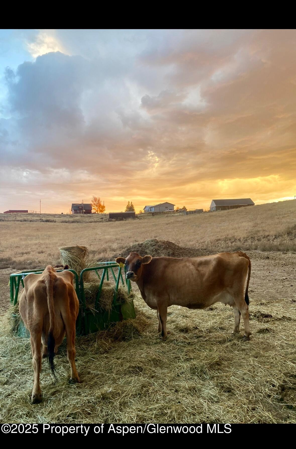 545 Knoll Avenue Craig CO 81625