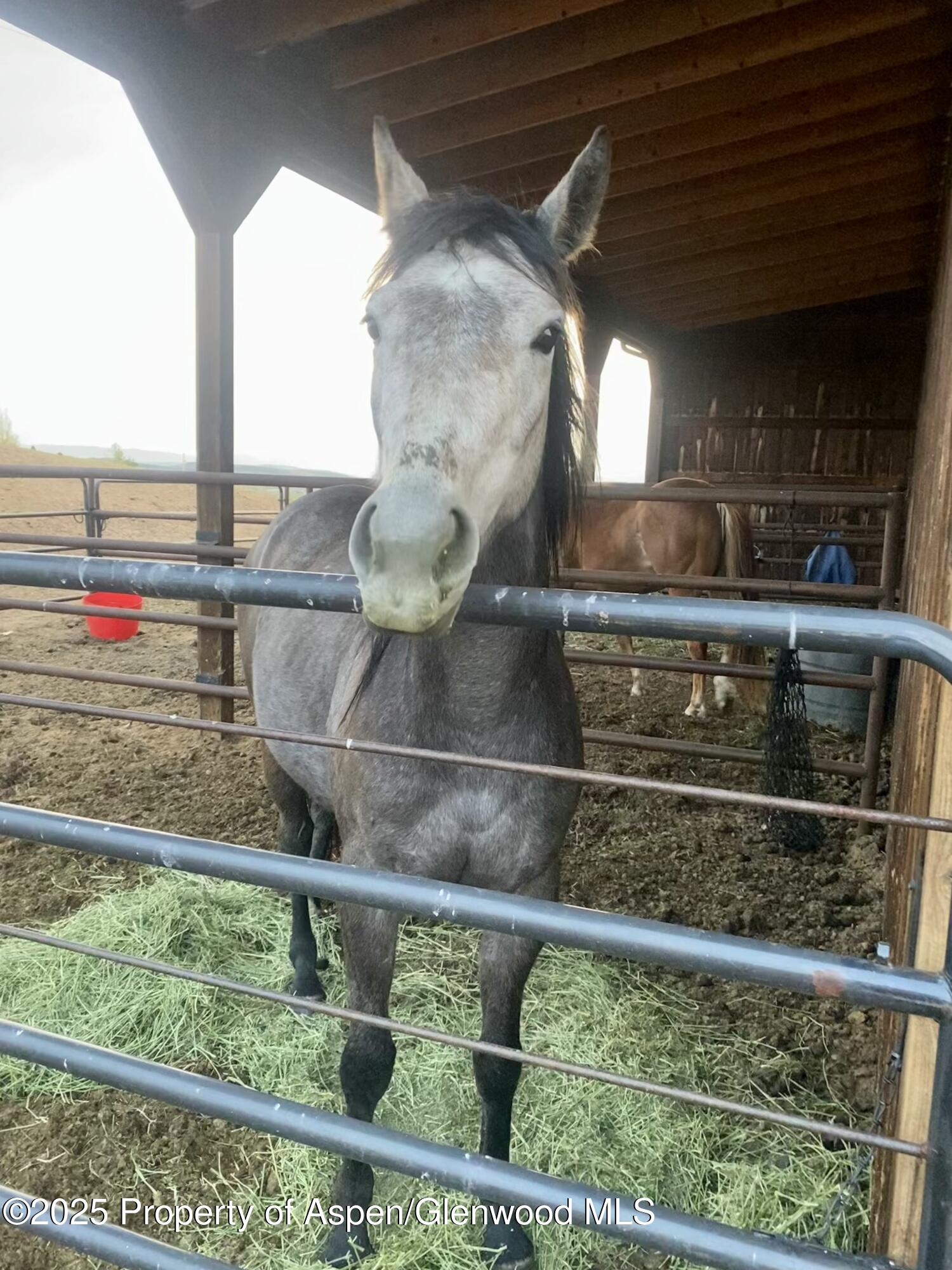 545 Knoll Avenue Craig CO 81625