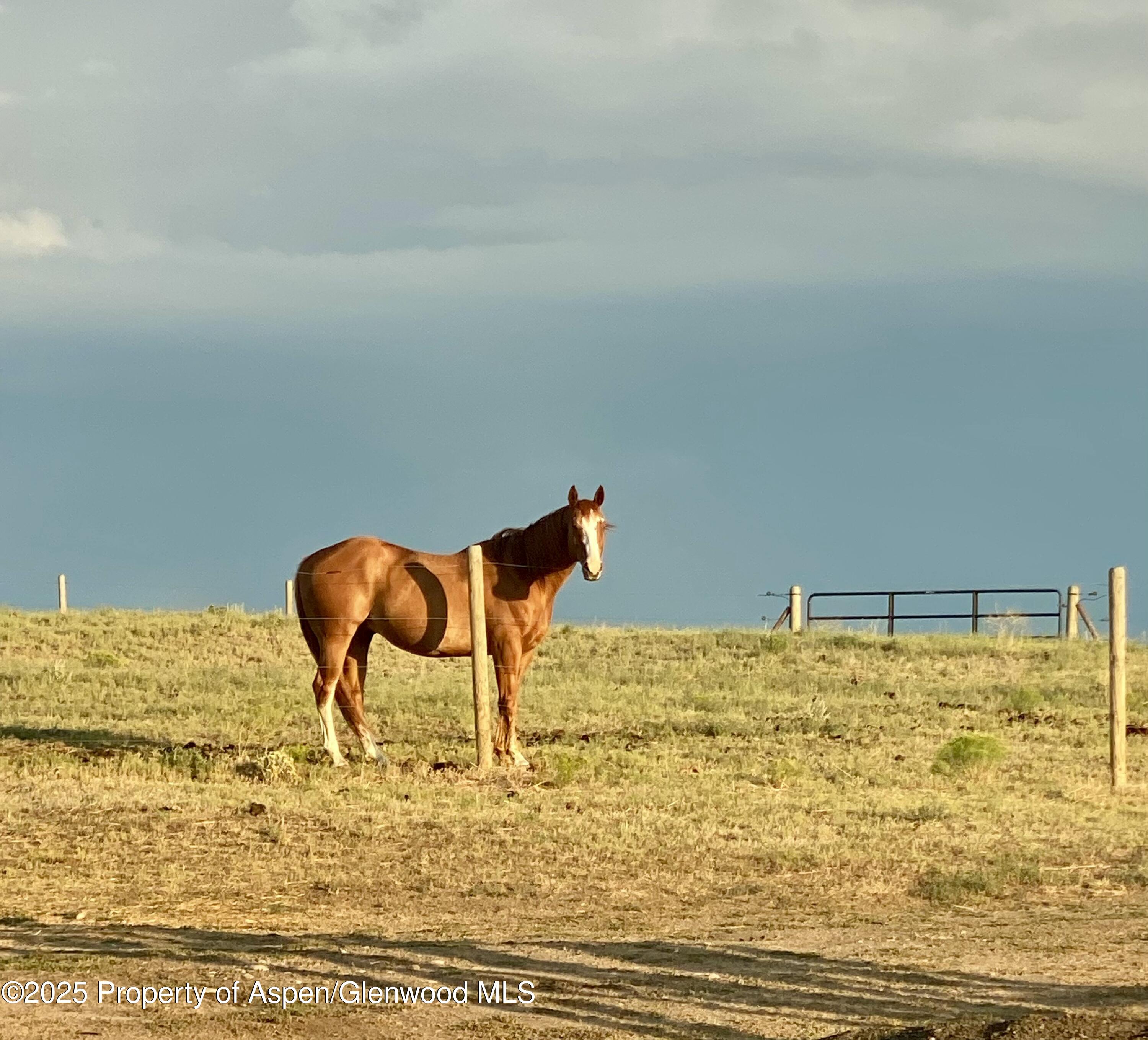 545 Knoll Avenue Craig CO 81625