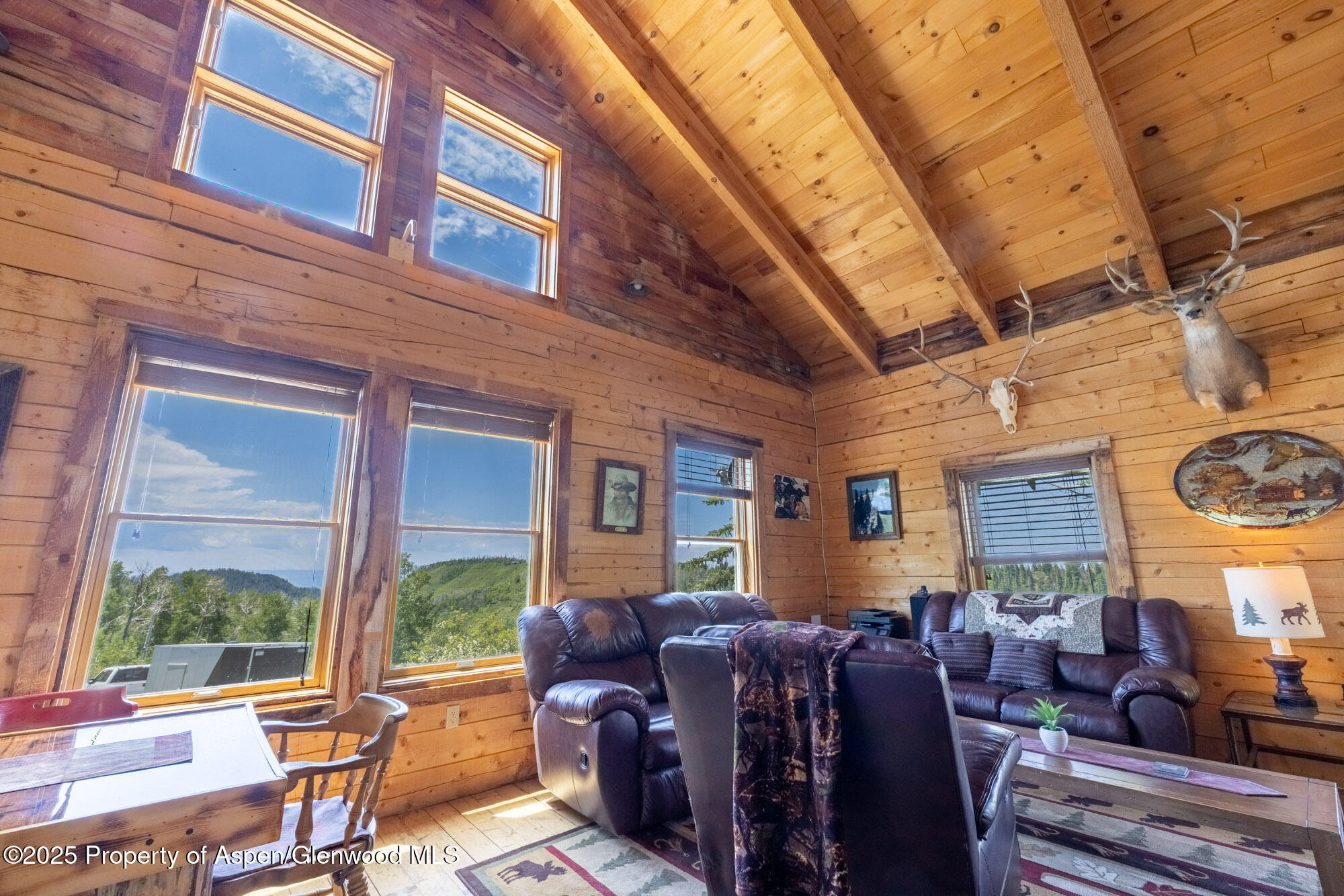 15805 County Road 245 New Castle CO 81647